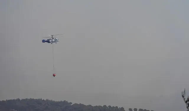 Edremit'te korkutan orman yangını! Havadan ve karadan müdahale ediliyor