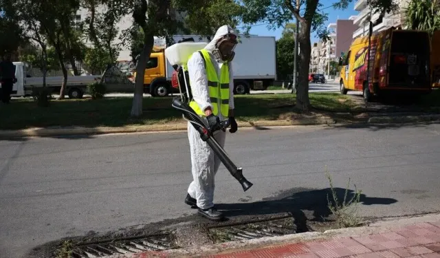 Batı Nil virüsünde yüksek dolaşım dönemi alarmı! 'Eylül sonuna kadar sürebilir'