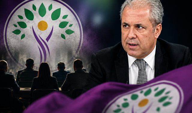 DEM Parti'de kurultay hesabı! Şamil Tayyar hangi isimlerin gideceğini açıkladı