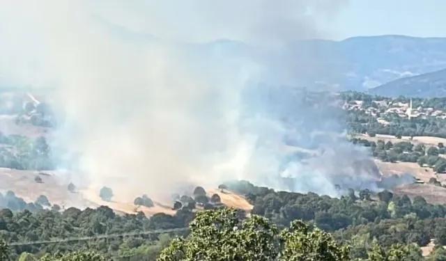 Bursa'da korkutan orman yangını! Müdahale sonrası kontrol altına alındı