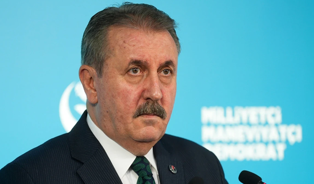 Destici'den Mladic kararına tepki: Soykırımcılar kahramanlaştırılamaz