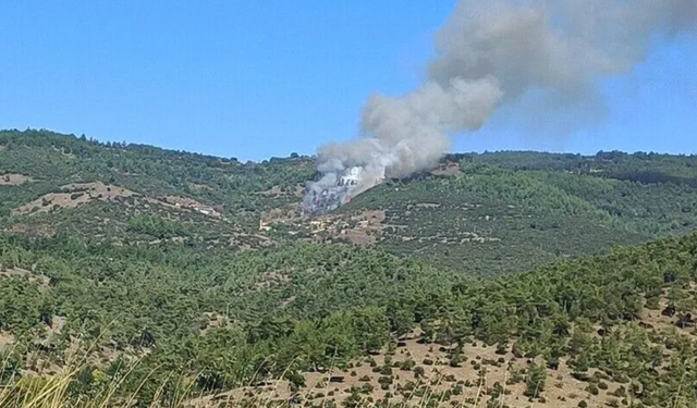 Bursa'da korkutan orman yangını! Müdahale sürüyor
