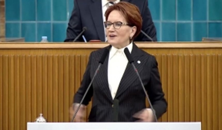 Akşener: "(Orman yangınları) Geçen sene yaşadığımız korkunç günlerin bir daha tekrar etmemesi için dua ediyoruz"