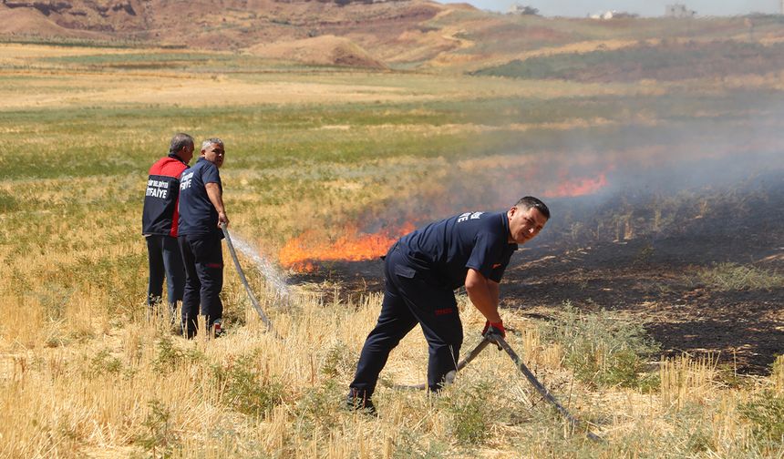 Siirt'te çıkan anız yangını saman balyalarına sıçramadan söndürüldü