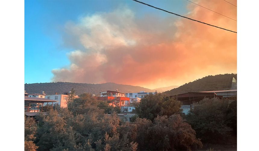 Mersin’de orman yangını