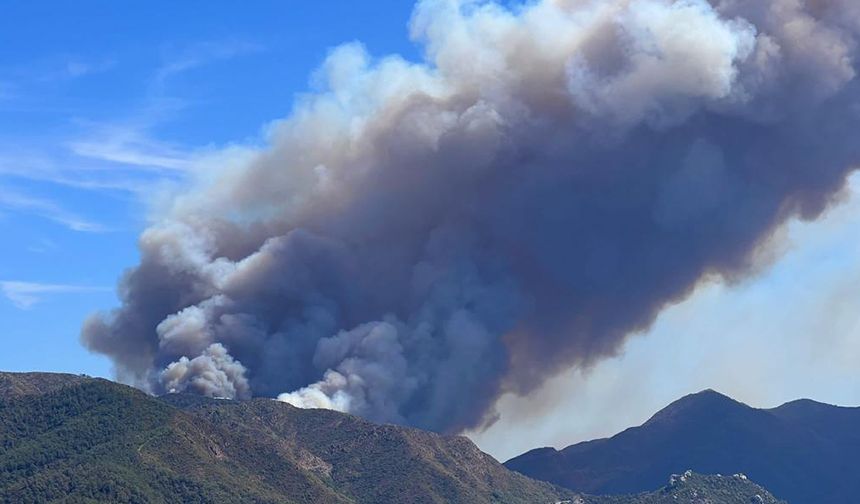 Marmaris'te orman yangını başladı