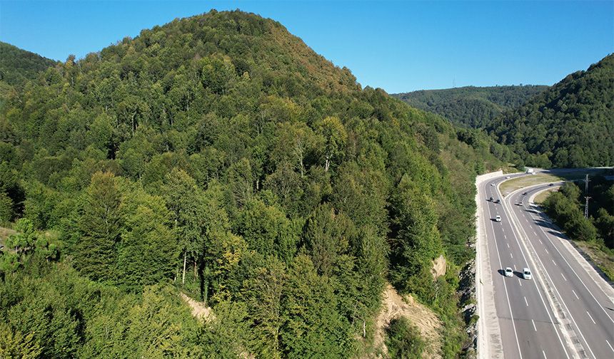 Zonguldak ormanlarında sonbaharda tabloluk görüntüler