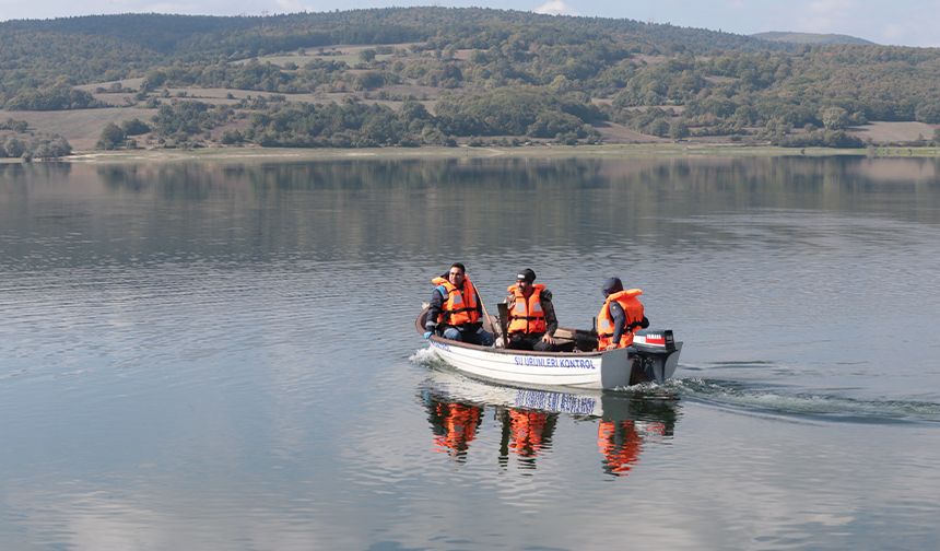 Bolu'da kıyıya vuran ölü balıklar