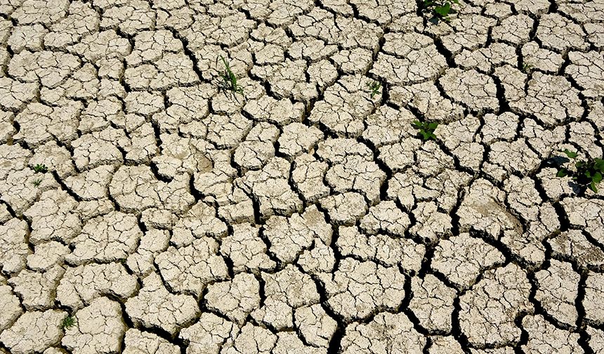 Ege, son 20 yılın en kurak sezonunu yaşıyor