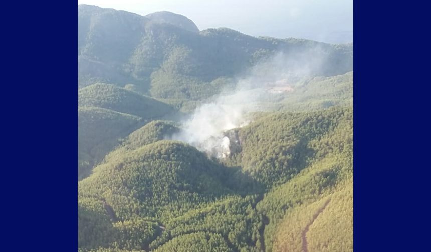 Muğla'da çıkan orman yangınına havadan ve karadan müdahale ediliyor