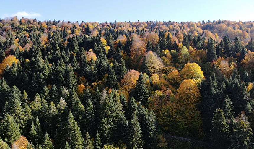 Kastamonu'nun Şenpazar ilçesi sonbahar turizminin adresi olmak istiyor