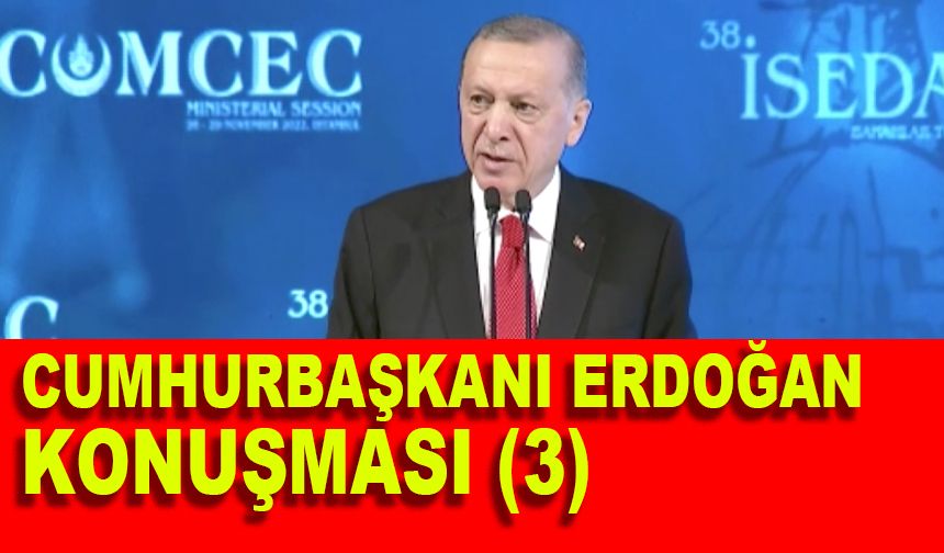 Cumhurbaşkanı Erdoğan konuşması  (3)