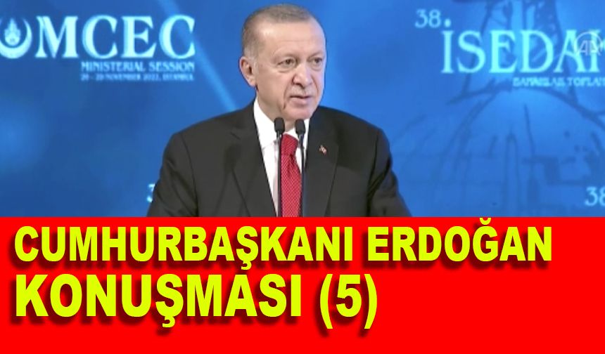 Cumhurbaşkanı Erdoğan konuşması (5)