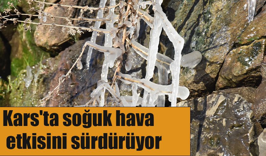 Kars'ta soğuk hava etkisini sürdürüyor