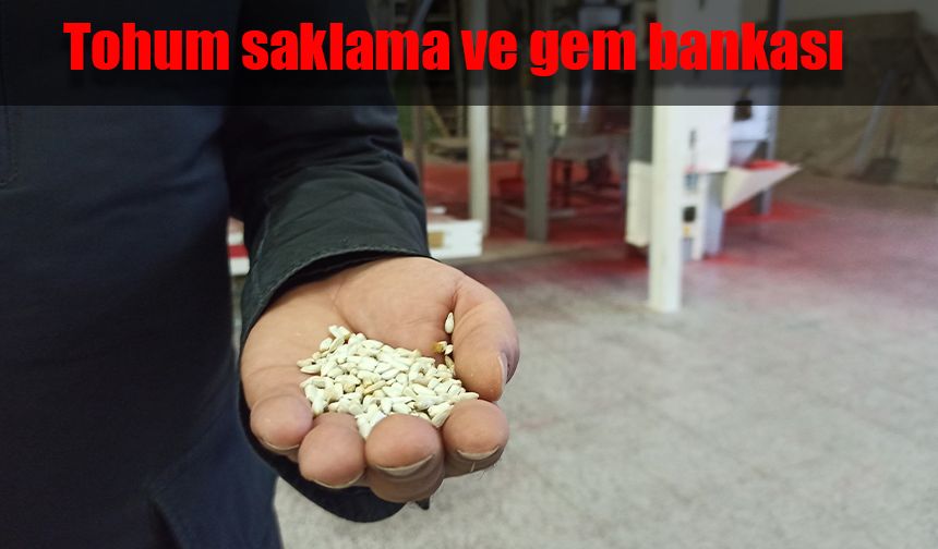 Eskişehir'de tohum saklama ve gem bankası