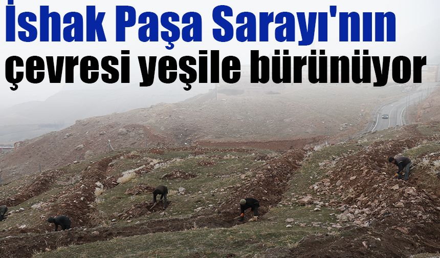 İshak Paşa Sarayı'nın çevresi yeşile bürünüyor