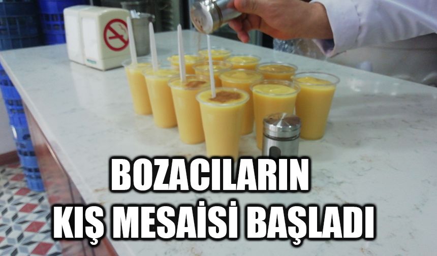 Bozacıların kış mesaisi başladı