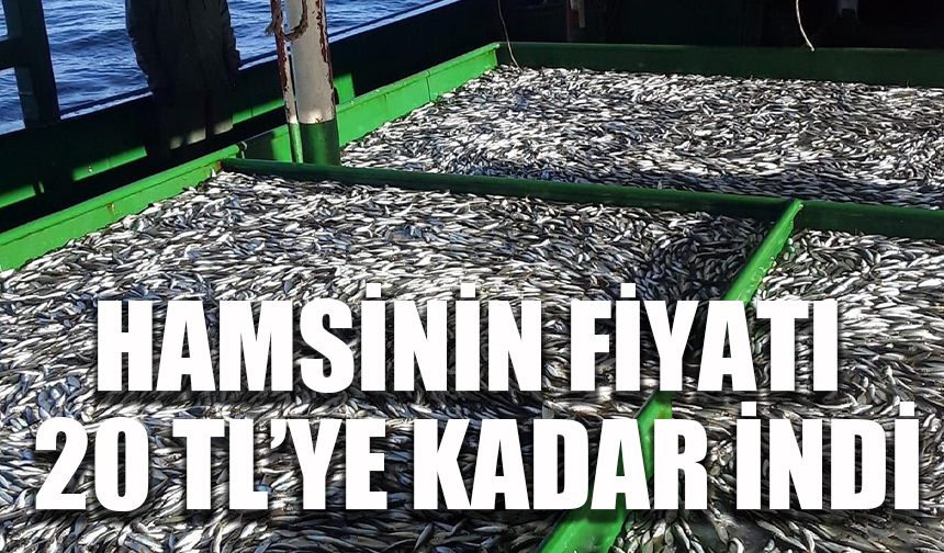 Hamsinin fiyatı 20 TL’ye kadar indi