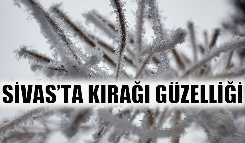 Sivas’ta kırağı güzelliği