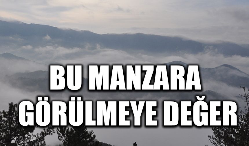 Bu manzara görülmeye değer