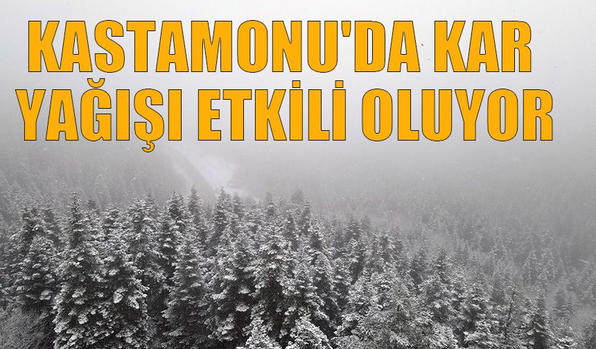 Kastamonu'da kar yağışı etkili oluyor