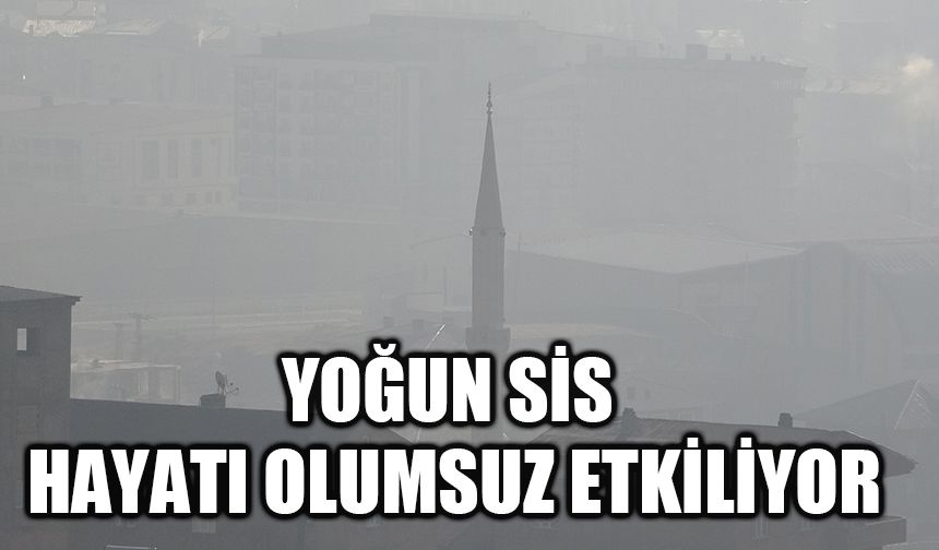 Yüksekova'da yoğun sis hayatı olumsuz etkiliyor