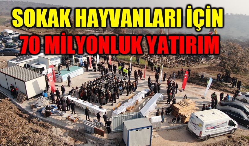 Sokak hayvanları için 70 milyonluk yatırım