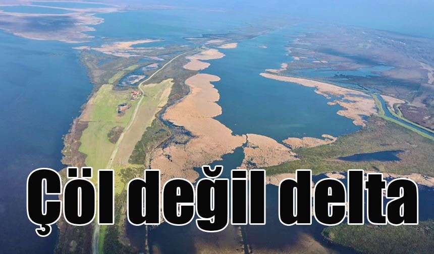 Çöl değil delta