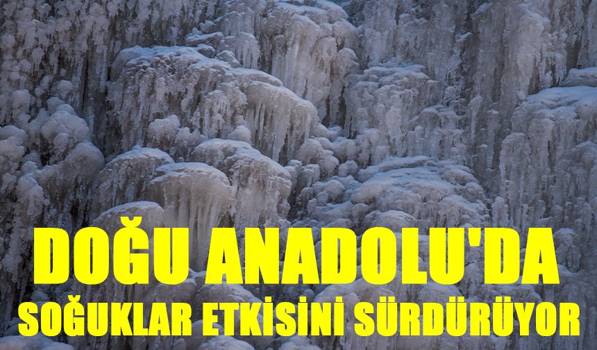 Doğu Anadolu'da soğuklar etkisini sürdürüyor