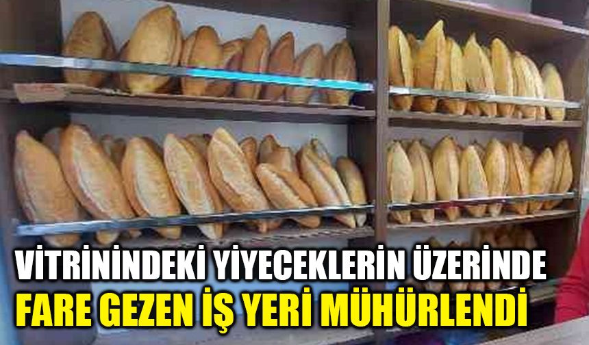 Vitrinindeki yiyeceklerin üzerinde fare gezen iş yeri mühürlendi