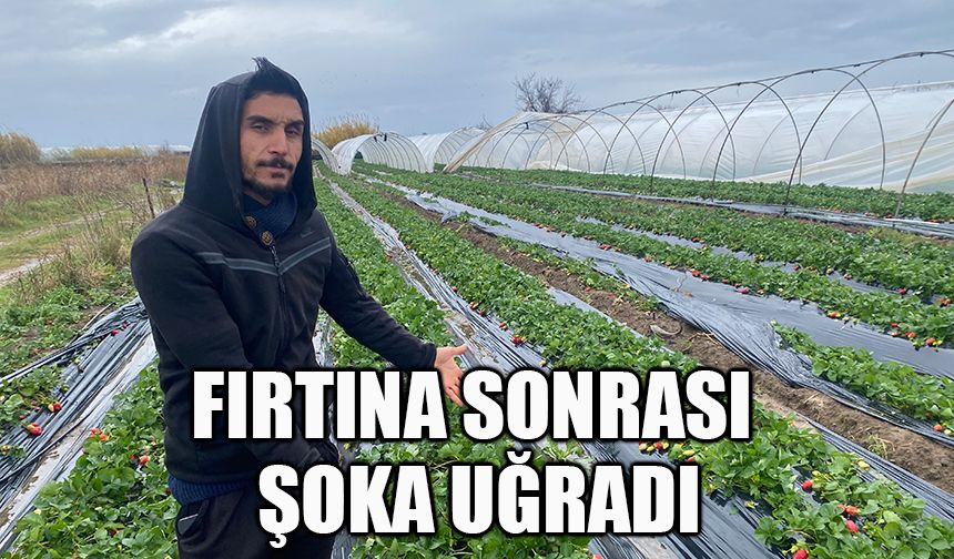 Fırtına sonrası geldiği serasını yerinde bulamadı