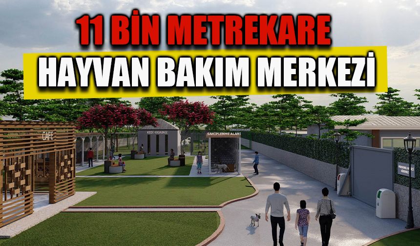 Bafra'ya 11 bin metrekarelik sokak hayvanları bakım merkezi