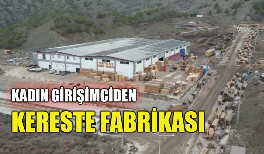 Kadın girişimciden kereste fabrikası