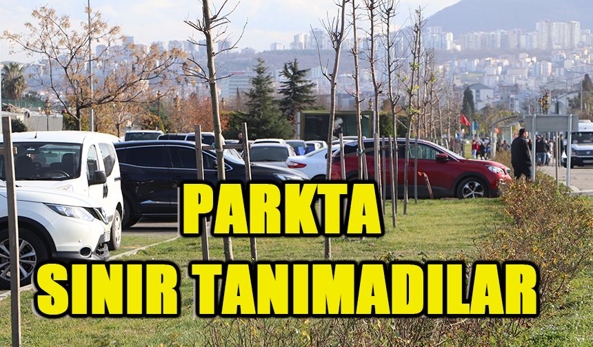 Parkta sınır tanımadılar