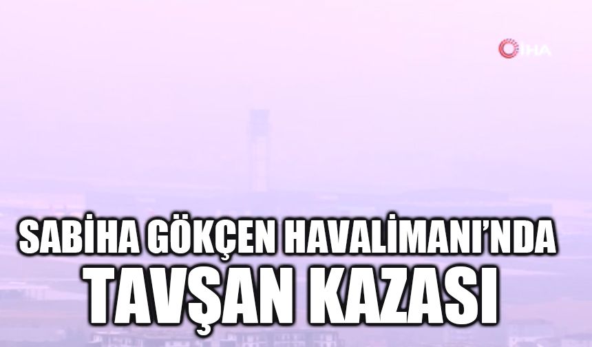 Sabiha Gökçen Havalimanı’nda tavşan kazası