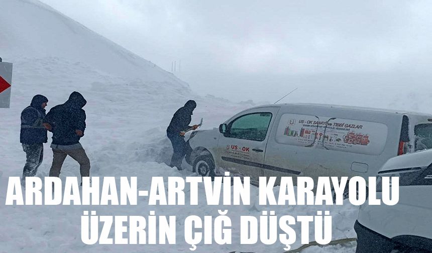 Ardahan-Artvin karayolu üzerin çığ düştü