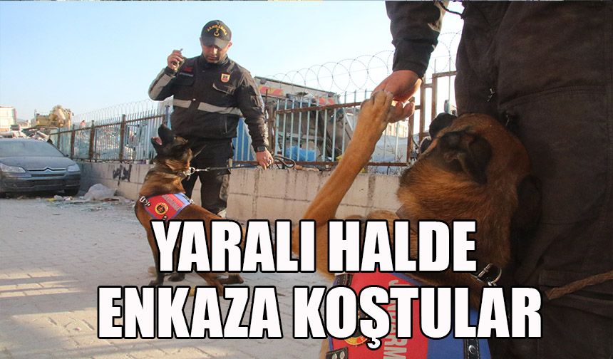 Yaralı halde enkaza koştular