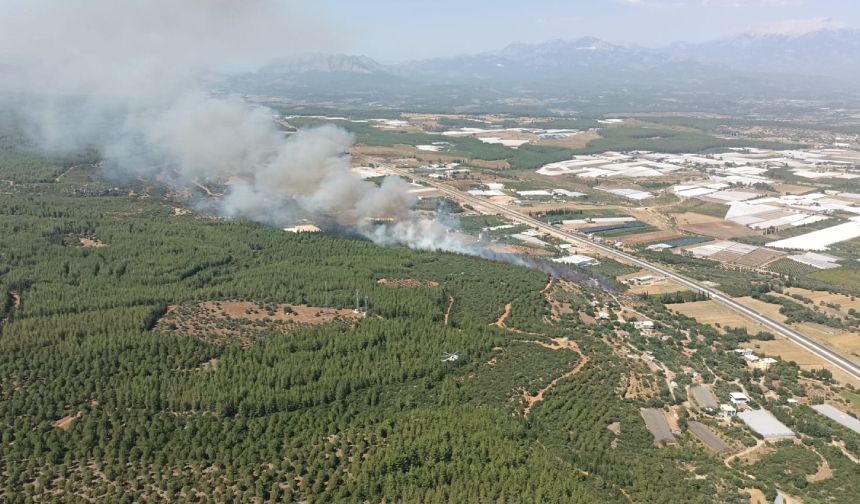 Antalya'da orman yangını başladı, işte o anlar