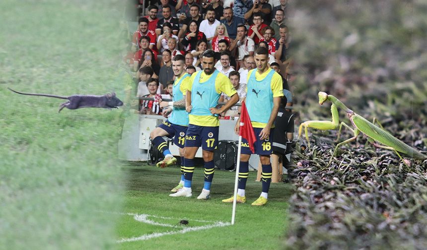 Samsunspor - Fenerbahçe maçında davetsiz misafirler