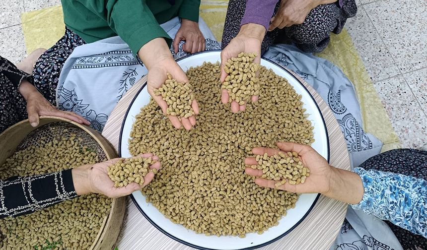 Tunceli'nin köyünden çıkıp dünyaya ihraç ediliyor! Ulukale dutu