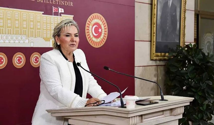 SON DAKİKA | İYİ Parti Milletvekili Nimet Özdemir istifa etti: CHP’ye mi geçiyor