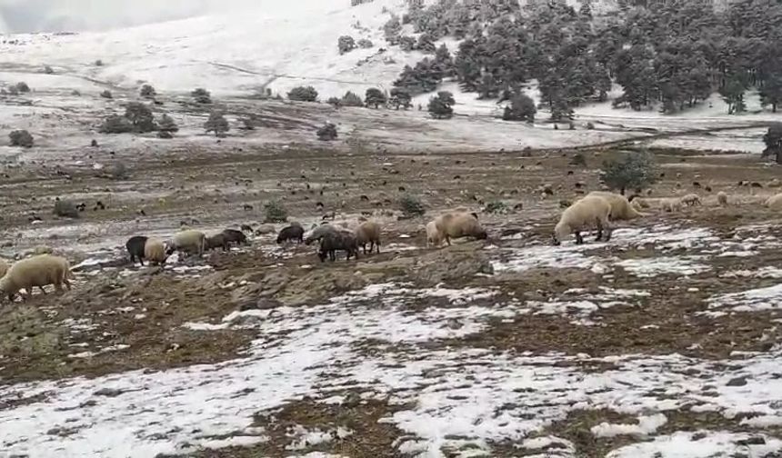 Kar yağışına yaylada yakalandı, herkesi duygulandırdı