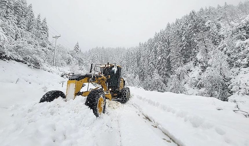 Karadeniz'de karla mücadele çalışmaları devam ediyor