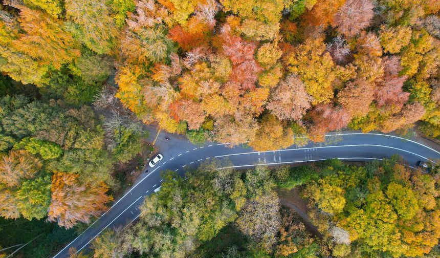 Belgrad Ormanı sonbahar renklerine büründü