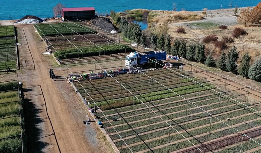 Doğu'da yetiştirilen 87 farklı türdeki milyonlarca fidan ülkeye nefes oluyor