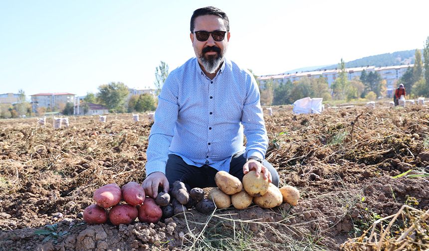 Sivas'ta renkli hasat başladı