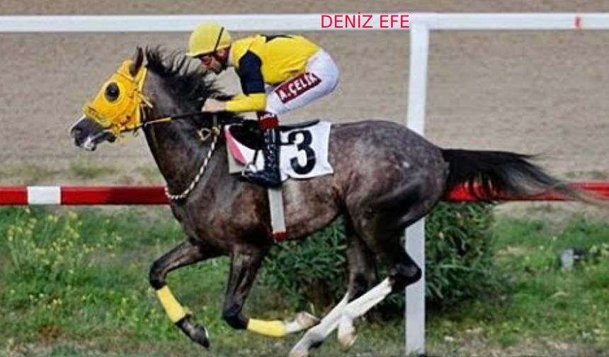Tüyosu olan kazanır! 23 Nisan at yarışı tahminleri