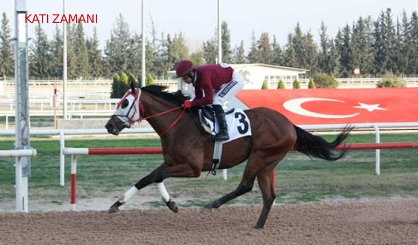 Tüyosu olan kazanır! 12 Mayıs at yarışı tahminleri
