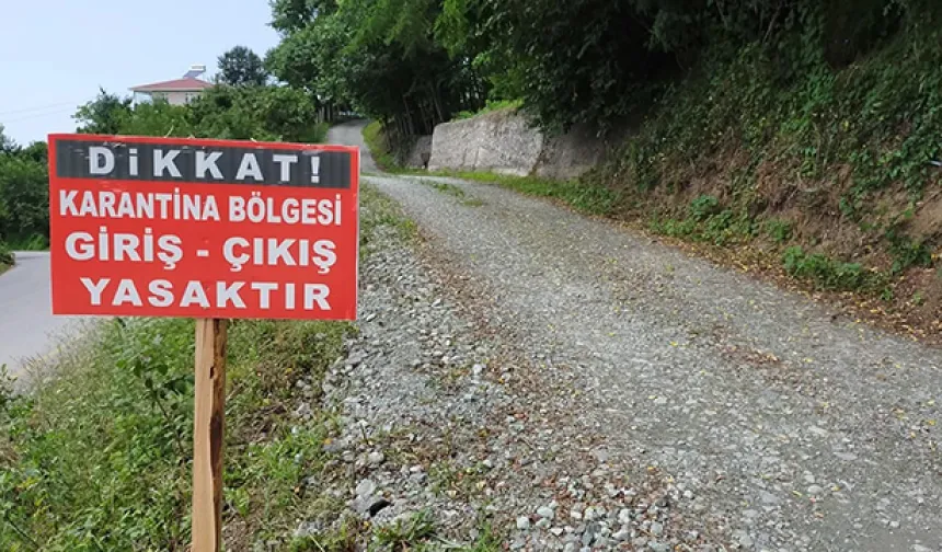 Pazarlar kapatıldı; il geneli karantinaya alındı!