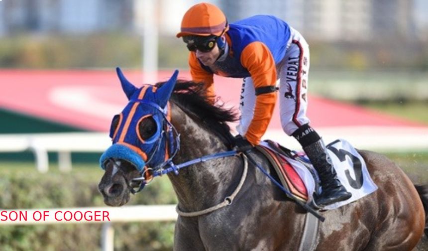 Tüyosu olan kazanır! 10 Ekim at yarışı tahminleri